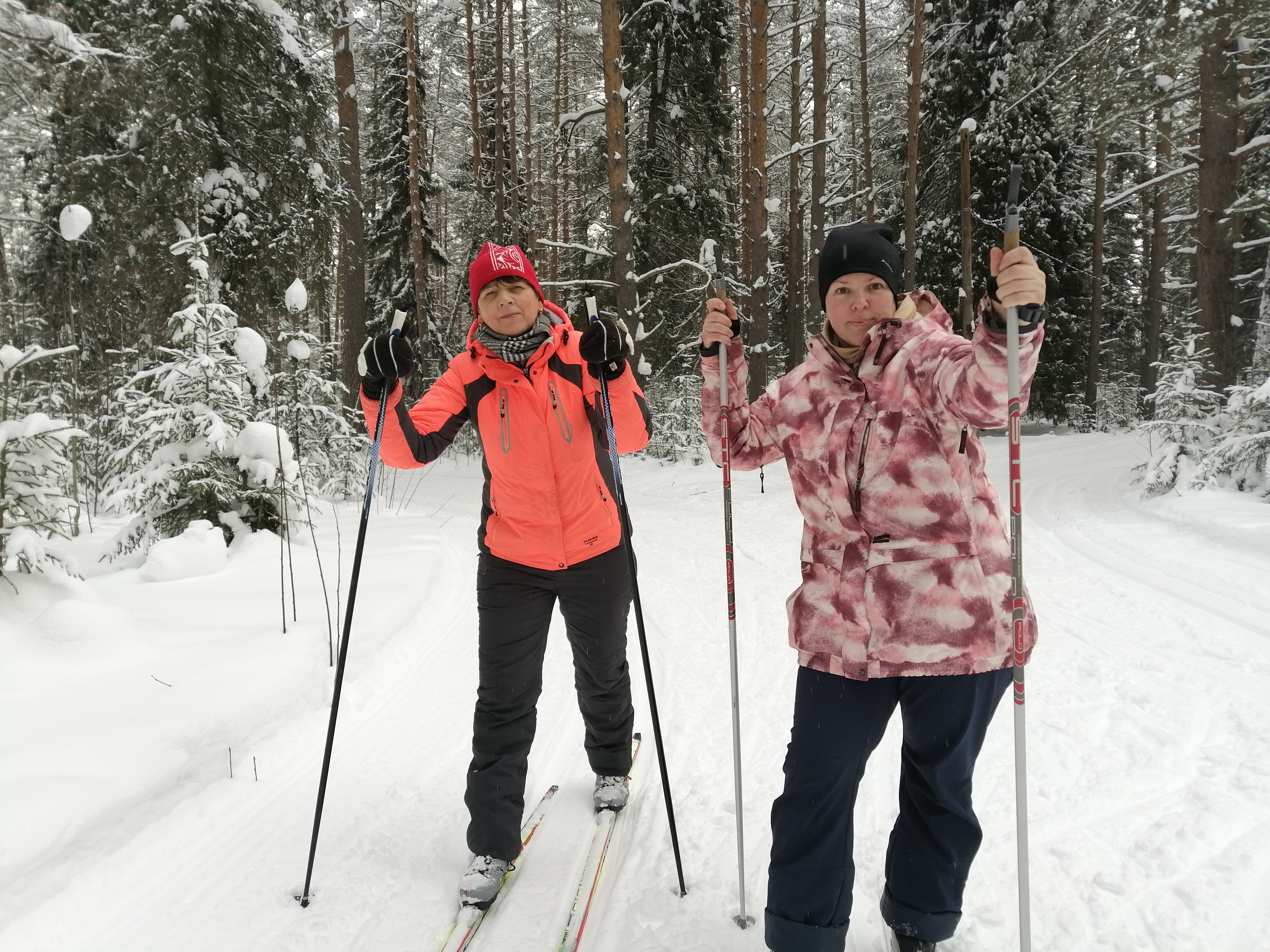 Шардакова Надежда Николаевна